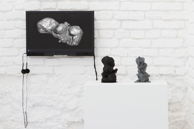 katrin_greiner_photographie_volatile_truths_ausstellung_34_1280x1920_300ppi_srgb_web
